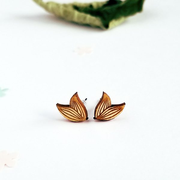 Puces d'oreilles feuilles – Image 4