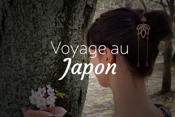 Voyage au Japon